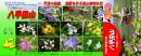 ちびパラ(シートタイプ)　八甲田の高山植物たち「日本　花の百名山」シリーズ